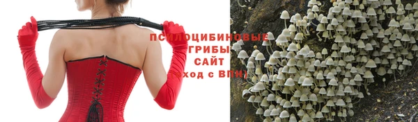 кокс Алексеевка