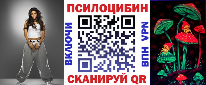 Псилоцибиновые грибы Cubensis Стародуб