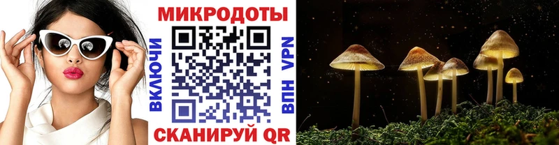 Галлюциногенные грибы Psilocybine cubensis  omg вход  Стародуб 