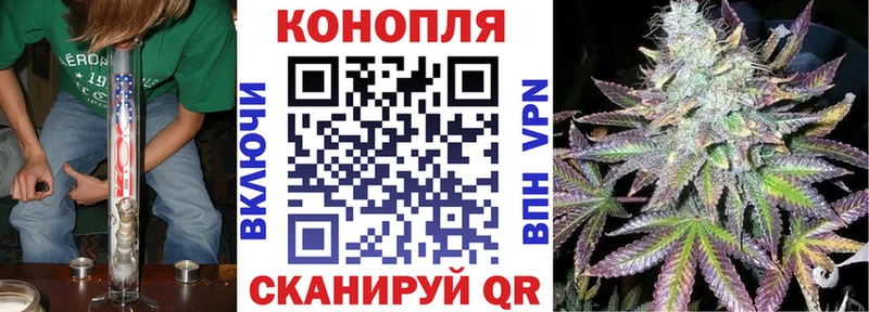 Шишки марихуана OG Kush  Стародуб 